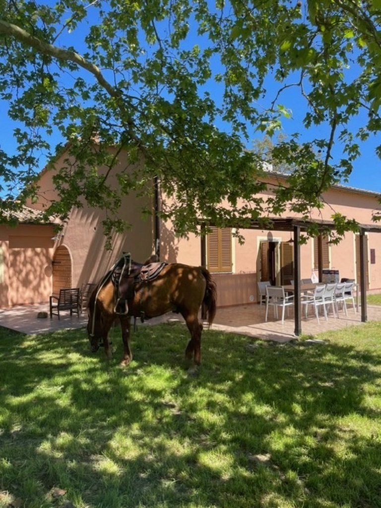 VILLA MARIA / 10 OSOB - Oblast BIBBONA